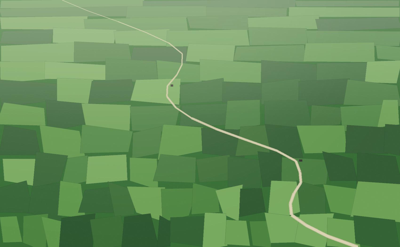 Aerial view of green fields divided by a winding path.